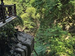 -莫干山风景区