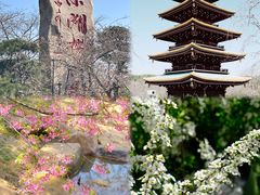 -东湖磨山景区