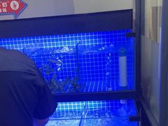 -老鄞江清水龙虾•赵赵家(江北店)