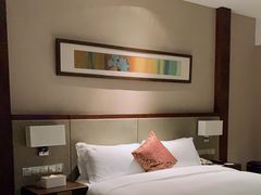 -深圳湾科技园丽雅查尔顿酒店