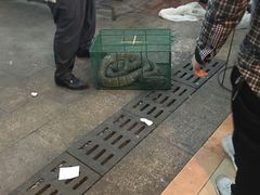 -荔城生鲜盛宴(番禺旗舰店)