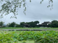 -高子水居