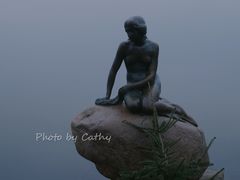 -美人鱼