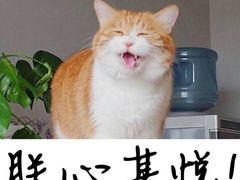 -华春餐馆(鱼山路店)