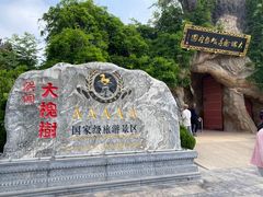 -大槐树寻根祭祖园