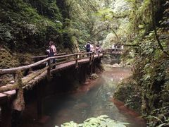 -青城山