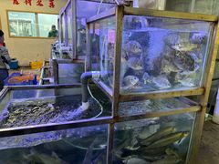 -八仔大富楼·河鲜(西江店)