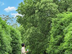 -艾溪湖湿地公园