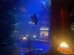 -迪拜帆船酒店海底餐厅