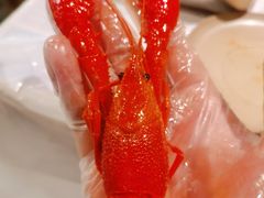 -靓靓蒸虾·头牌蒸虾(雪松路总店)