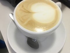 -喵的天空名猫咖啡馆·撸猫·猫舍·用品