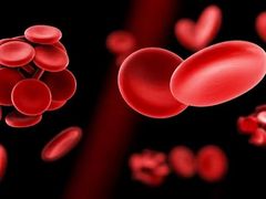 -家乐福(古北店)