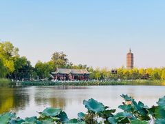 -西海子公园