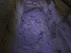 -汉景帝阳陵博物院