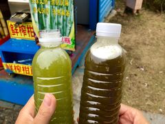 -飞来湖湿地公园