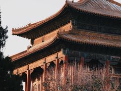 -北京市劳动人民文化宫