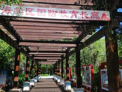 -亚龙湾中心广场