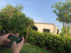 -盐官日光域房车营地·有盐餐厅