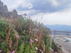 -白草畔自然风景区