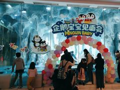 -帝企鹅自助餐厅•儿童岛•真企鹅(长隆企鹅酒店)