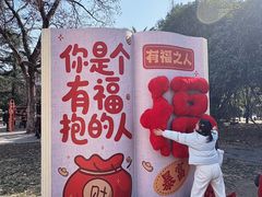 -西苑公园