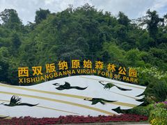 -西双版纳原始森林公园