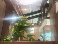 -沼津港精致料理·寿喜烧·烧鸟(漕河泾印象城店)