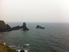 -涉地可支