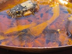 -佳兰雅序融合菜(高新店)