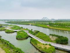 -春花秋色城市公园