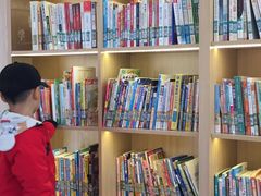 -昆山城市生态森林公园