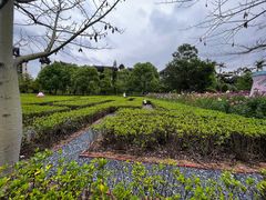 -清远熹乐谷温泉度假酒店