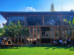 -柠檬花院烤肉·围炉煮茶·草坪团建·生日派对(三圣乡店)