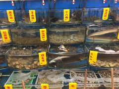 -渔中舟海鲜大排档(普陀沈家门店)