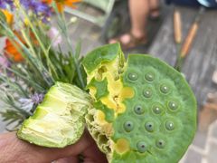 -野鸭湖国家湿地公园