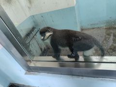 -新疆天山野生动物园