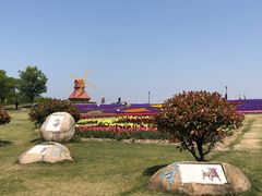 -杭州湾海上花田景区
