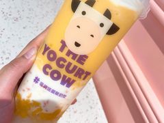 酸奶杨枝甘露-一只酸奶牛(兰州中心店)