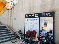 -知春路(地铁站)
