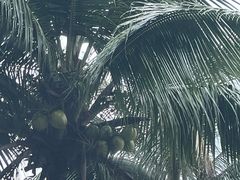 -九毛九西北菜(大东海店)