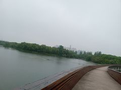 -昆山城市生态森林公园