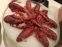-红盔甲·小龙虾(天钥桥店)