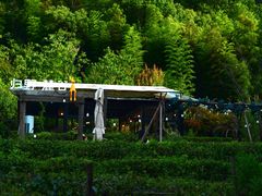 -北仑森林植物园