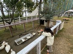 -金鸡湖桃花岛