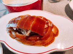 -秀儿四九城·新京菜(亚运村鸟巢店)