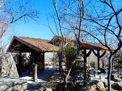 -阳台山自然风景区