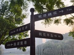 -重庆彩云湖湿地公园