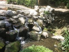 -白水寺森林公园