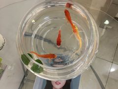 -罗创丹阳眼镜(童卫路店)