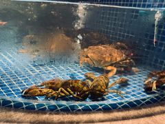 -德天肥牛海鲜火锅(龙吟坊店)